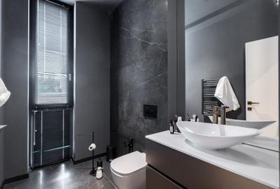 Vila individuala - vanzare - Iancu Nicolae - British School - 22