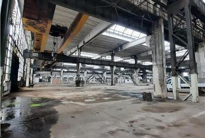 Spatiu Industrial - 5000 mp - Productie - Industrie Grea - 5
