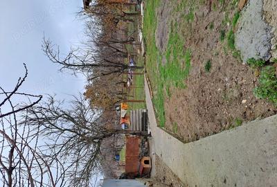 Vind casa in Bazosu Nou - 3