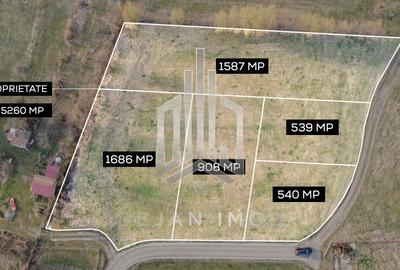 Teren Construcții intravilan de 5260 mp, în Reci - 2