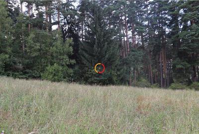 Teren intravilan cu PUZ si PUD 2 loturi - 9