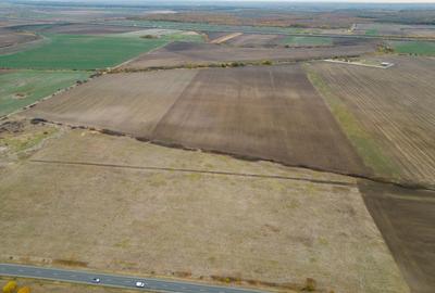 Teren 22.500 mp – Pecica, jud. Arad - 3