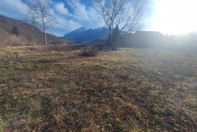 Exclusivitate! Teren 1000mp , drum privat cu acces la rau si padure, Glajarie, R - 5