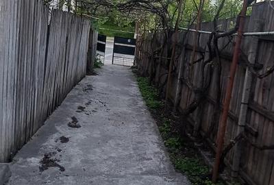 Casă cu 4 camere cu Teren 312 Mp în Valea Rosie - 5