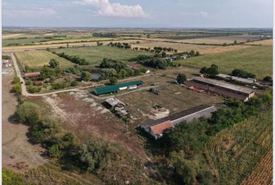 Spațiu industrial, de 1,000 mp, în Periferie - 1