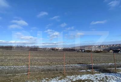 Teren de 700 mp, în Ciurea - 3