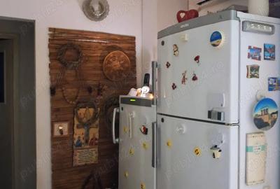 Apartament cu 2 camere decomandat în Micălaca - 3