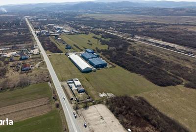 Teren de 7194 mp, în Carașova - 1