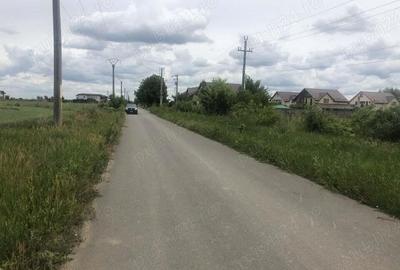 Vanzare teren 500mp 1Decembrie Ilfov - 1