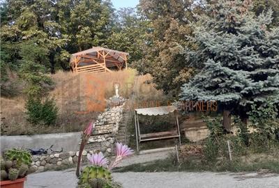 Casă cu 4 camere în Pleșcoi - 3