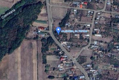 Casă individuală cu 4 camere cu Teren 4000 Mp în Martalogi - 3