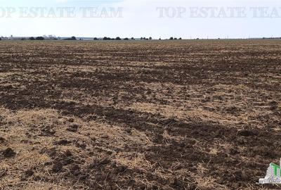 Oferim spre vanzare 6 loturi de teren extravilan (agricol) in Petrachioaia ILFOV - 15