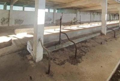 Vand teren cu hala construita pe el - 5