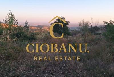 Teren cu casa batraneasca de vanzare in comuna Jugureni judet Prahova - 9