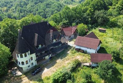 DE VANZARE CASTEL IN MARAMURES - 9