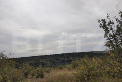 Teren de 9000 mp, în Central - 5