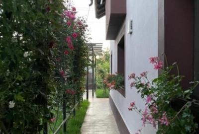 Casa, 5 camere, constructie 2022, teren 1000mp, Mehedinta, 275.000euro - 8