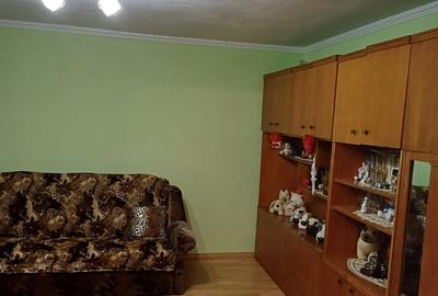 Casă cu 2 camere cu Teren 3150 Mp în Șanovița - 9