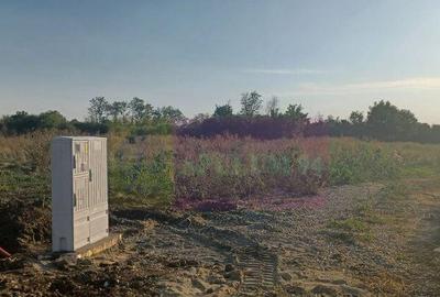 Sabareni, lot de casa 500 mp, curent langa teren - 2