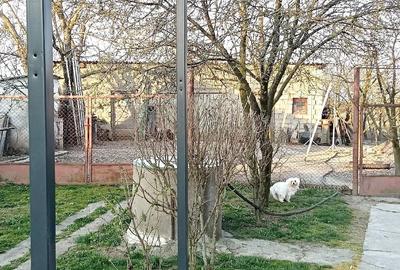 Casă cu Teren 223 Mp în Amați - 3