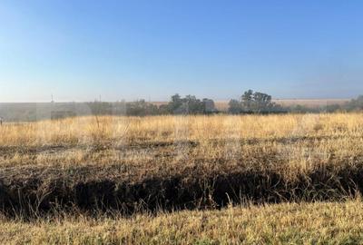 Teren de 2500 mp, în Bucovăț