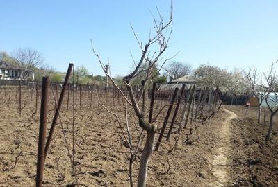 Casă cu 3 camere în Bugeac - 4