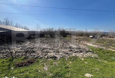 Teren de 351 mp, în Calea București - 4