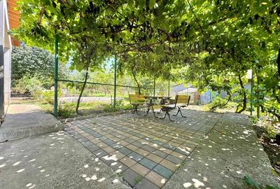 Vanzare Casa - Copou- P+M - langa Gradina Botanica - 15