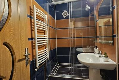 Apartament cu 2 camere semidecomandat în Bălcescu - 3