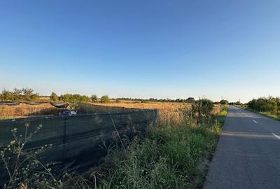 Teren 6700 mp Olteni, jud. Dambovita – la doar 900 m de Autostrada A1 (km 63) - 4