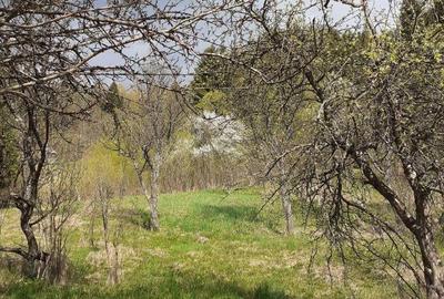 Teren în Moisei - 2