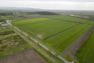 Teren extravilan de 22500mp Zona Ineu - 11