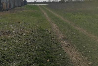 Tartasesti teren intravilan 2441 mp, Teren, Vanzare - 4
