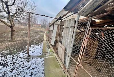 Casă cu 3 camere cu Teren 750 Mp în Sâncraiu de Mureș - 10