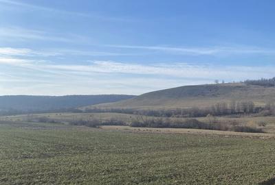 Spațiu comercial, în Hidiș - 12