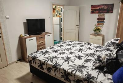 Craiovita Pepco Garsoniera Craiovita Pepco Garsoniera - 3