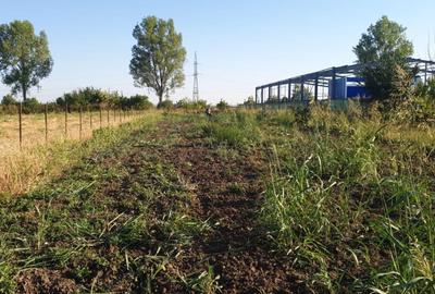 Teren Construcții de 5700 mp, în Exterior Vest - 2