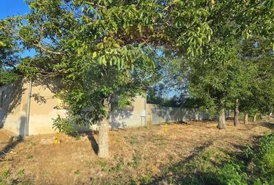 Casa de vanzare in Graniceri aproape de Arad - 1
