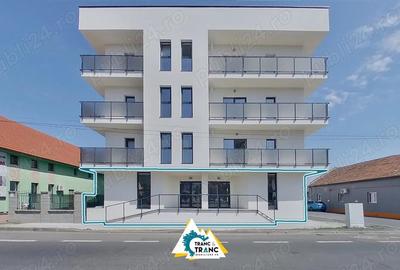 Spațiu comercial, de 290 mp, în Micălaca - 3