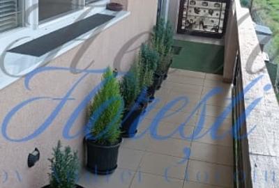 Apartament 2 camere 51 mp | terasa 15 mp | parcare | zona Porii | Floresti. - 9