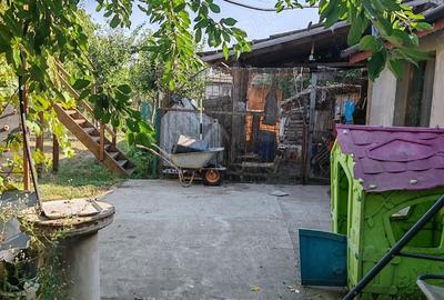 Casă cu 4 camere cu Teren 10000 Mp în Bârca - 8