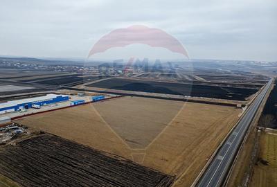 Teren Construcții intravilan de 39244 mp, în Ilișești - 1