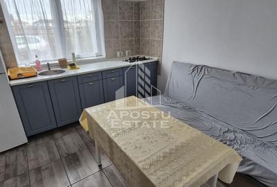 Apartament 1 camera, Centrala proprie , Curte comuna, Dumbravita - 4