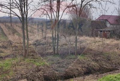 Teren Construcții intravilan de 2341 mp, în Uileacu de Munte - 6