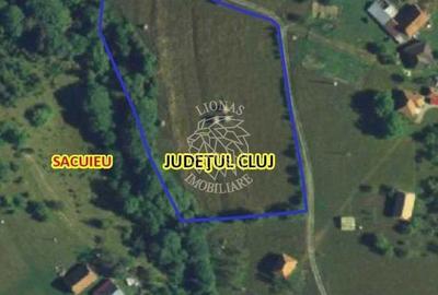 Spațiu comercial, în Vișagu - 1