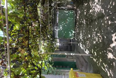 Casa de vanzare in Sannicolaul Mare - 2