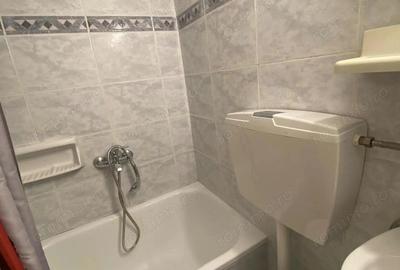 Apartament cu 2 camere de inchiriat in zona ?agului - 7