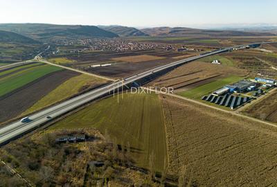 Teren Construcții intravilan de 92161 mp, în Periferie - 4