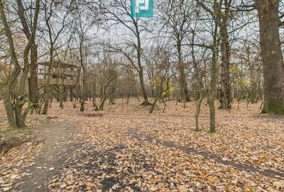 Teren agricol extravilan de 5000 mp, în Periam - 26