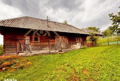 Casă cu 3 camere cu Teren 5300 Mp în Ocna Șugatag - 15